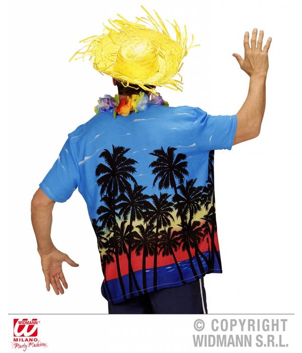 Hawaiishirt Palm Beach
