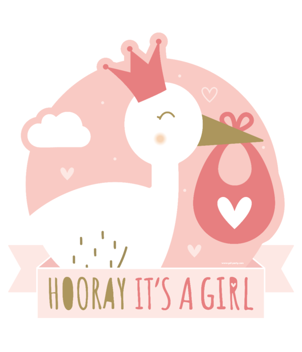 Huldeschild Hooray It's a Girl (50x50cm)