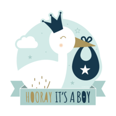 Huldeschild Hooray It's a Boy (50x50cm)