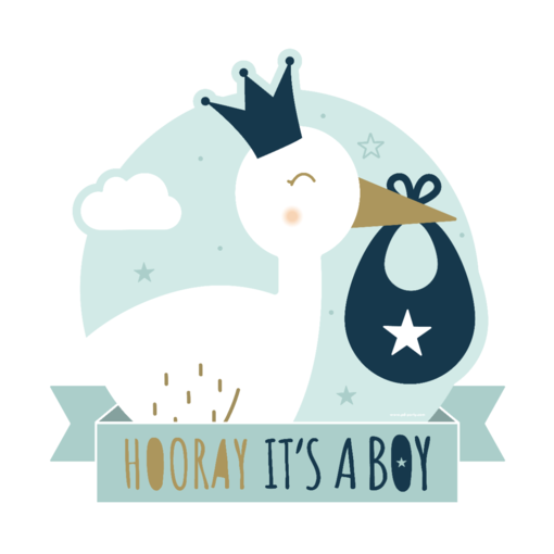 Huldeschild Hooray It's a Boy (50x50cm)