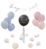 Gender Reveal Versiering Set 'What Will Baby Be?'