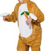 Paashaaspak Wortel Volwassene