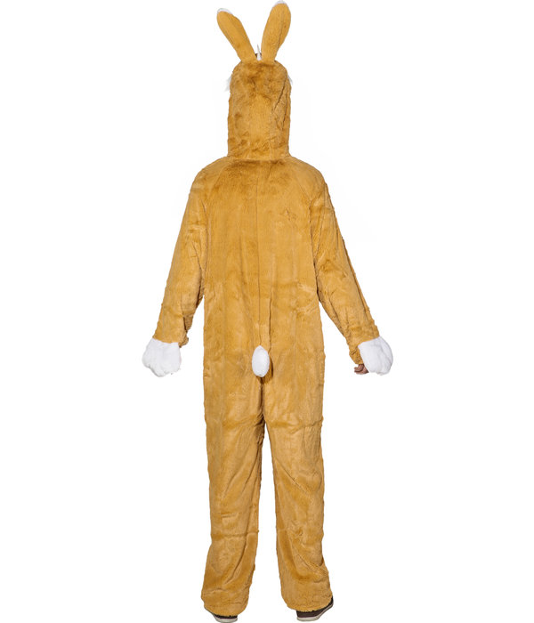 Paashaaspak Wortel Volwassene