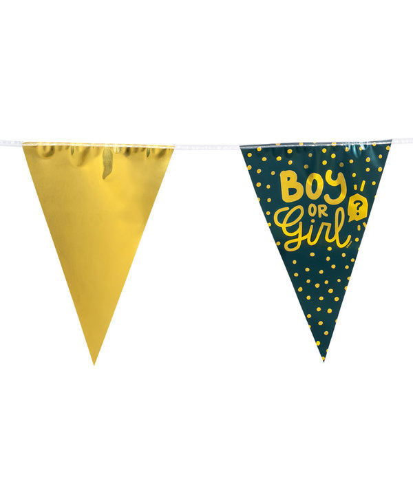 Gender Reveal Vlaggenlijn 'Boy or Girl' Goud/Groen (6m)