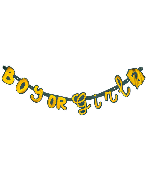 Letterslinger Gender Reveal 'Boy or Girl' Goud/Groen (1,3m)