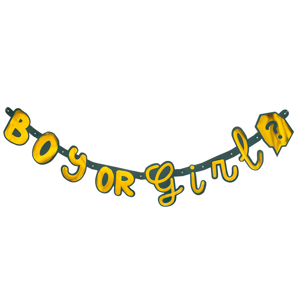 Letterslinger Gender Reveal &apos;Boy or Girl&apos; Goud/Groen (1,3m) afbeelding