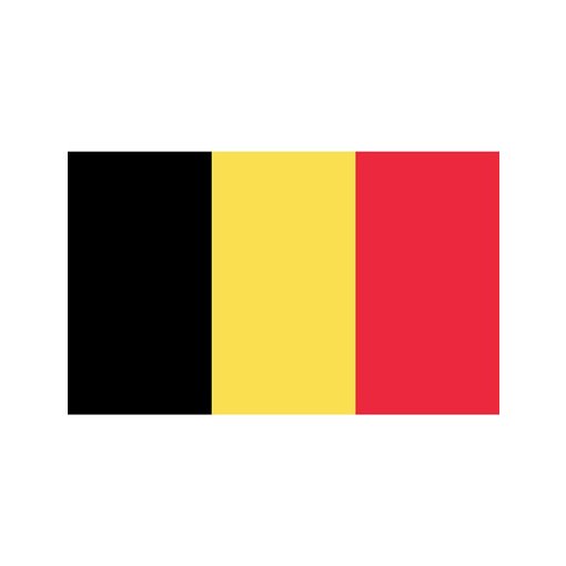 België Vlag Groot (150x300cm)