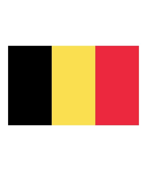 België Vlag Groot (150x300cm)