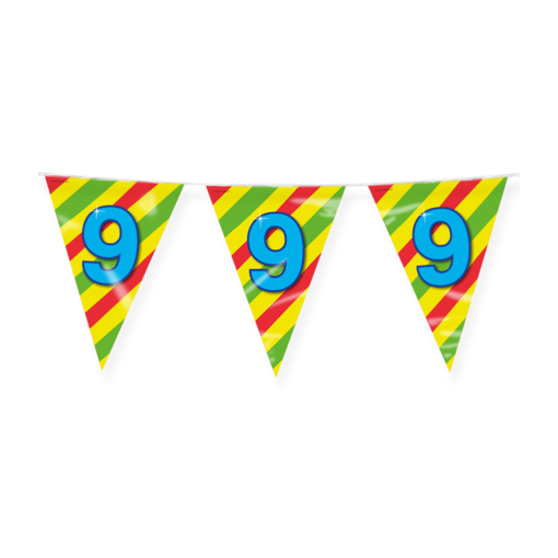 Happy Verjaardag Vlaggenlijn 9 Jaar (10m)