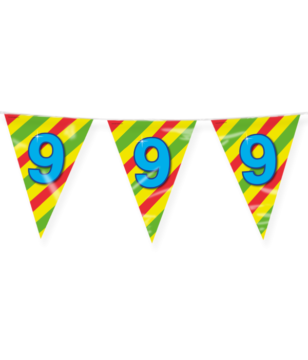 Happy Verjaardag Vlaggenlijn 9 Jaar (10m)