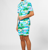 Summer Flamingo suit