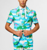 Summer Flamingo suit