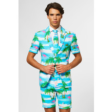 Summer Flamingo suit