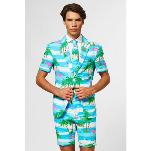 Summer Flamingo suit