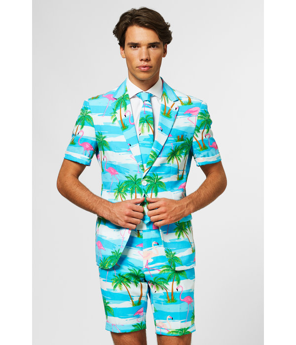 Summer Flamingo suit