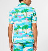 Summer Flamingo suit