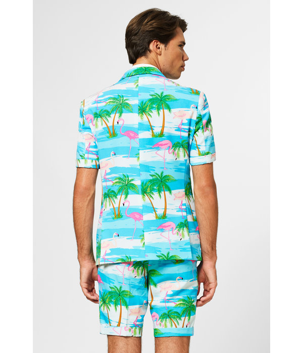 Summer Flamingo suit