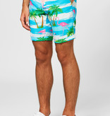 Summer Flamingo suit