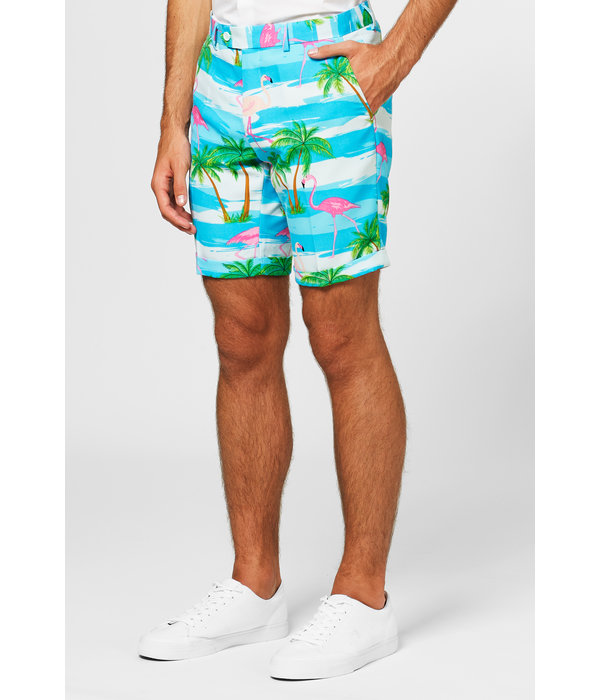 Summer Flamingo suit