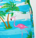 Summer Flamingo suit