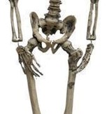 Skelet Horror decoratie