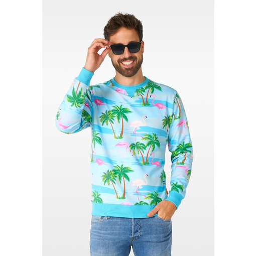 Sweater Flamingo Hawaii Opposuits