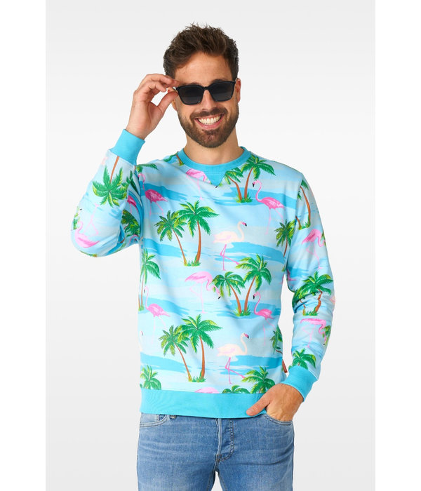 Sweater Flamingo Hawaii Opposuits