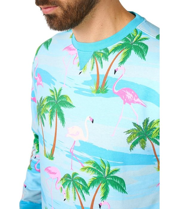 Sweater Flamingo Hawaii Opposuits