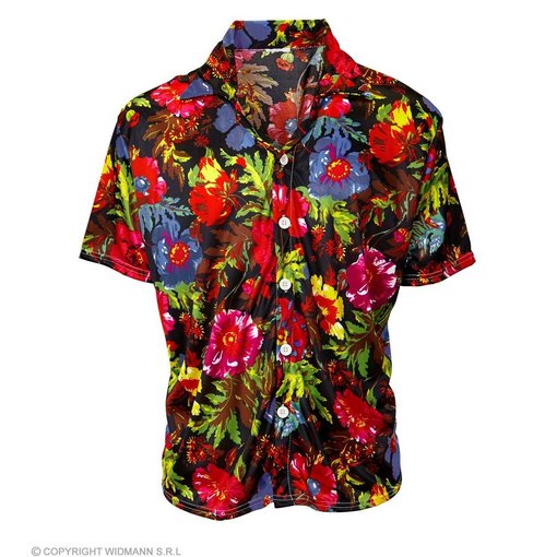 Hawai shirt Leonardo