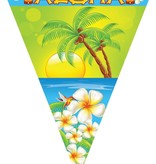 Vlaggenlijn Aloha Hawaii