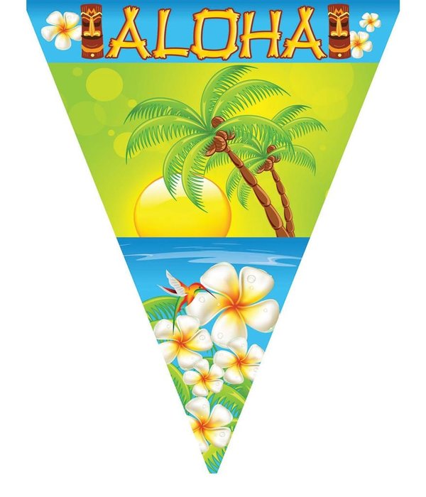 Vlaggenlijn Aloha Hawaii