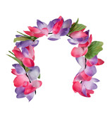 Hawaii Tiara Amelia Multikleur