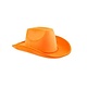 Oranje Cowboyhoed fluweel Goodwin
