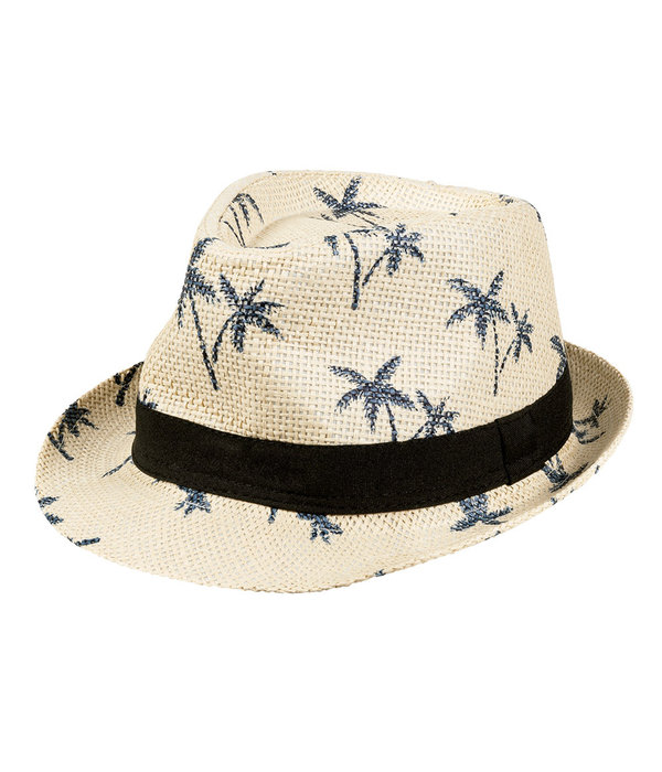 Trilby Zomerhoed Palmbomen