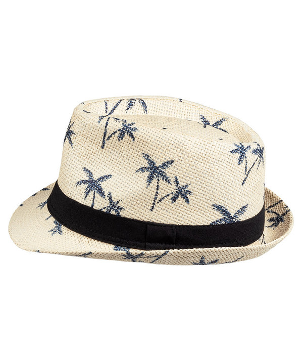 Trilby Zomerhoed Palmbomen