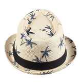 Trilby Zomerhoed Palmbomen