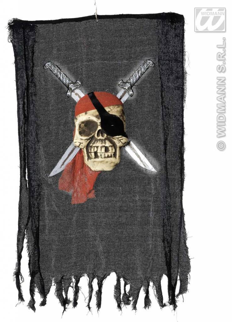Banner Piratenschedel