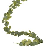 Eucalyptus Plant Slinger Decoratie