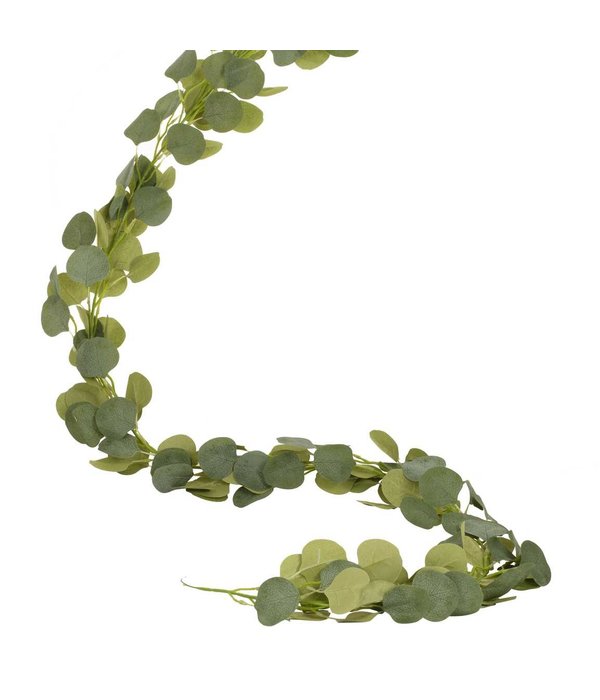 Eucalyptus Plant Slinger Decoratie