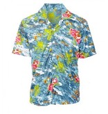Hawaii shirt Lopine