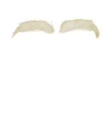 Sint Wenkbrauwen Buffelhaar