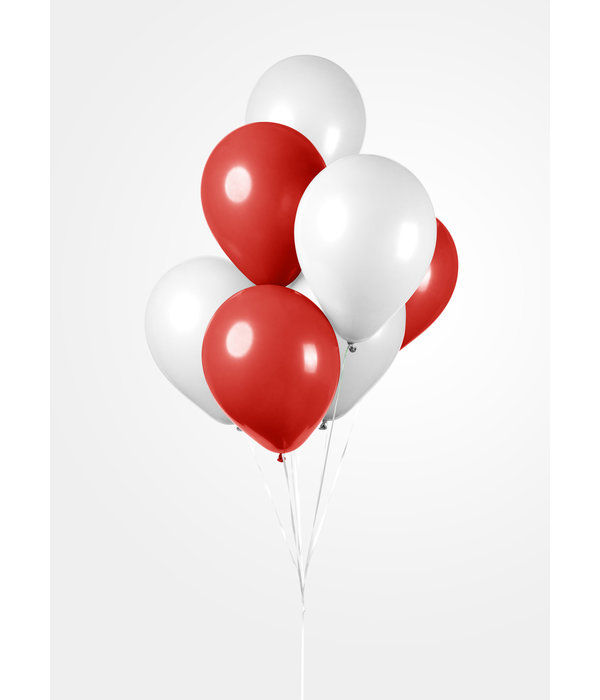 Ballonnen Set Rood/Wit (10st)