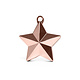 Ballon Gewicht Ster Rosegoud (140gr)