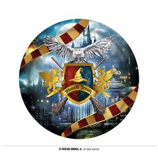 Magical School Borden Harry 23cm (6st)