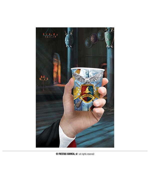 Magical School Bekers Harry 240ml (6st)