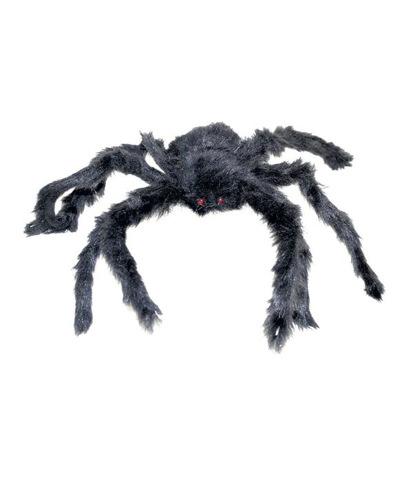 Zwarte Spin 60cm