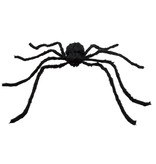 Harige Spin XXL (75x125cm)