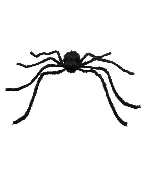 Harige Spin XXL (75x125cm)