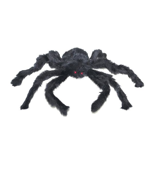 Halloween Spin Harig Zwart 50cm