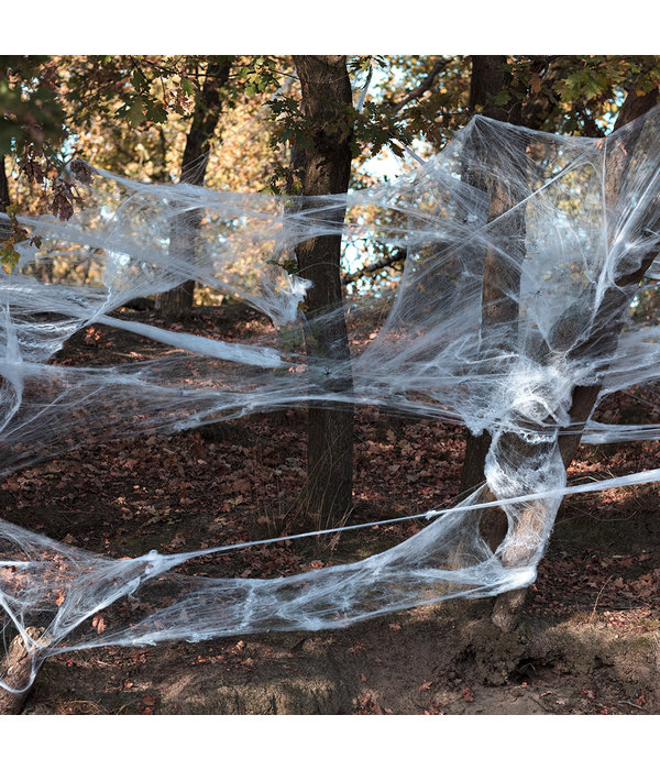 Jumbo spinnenweb 500 gram met 25 spinnen